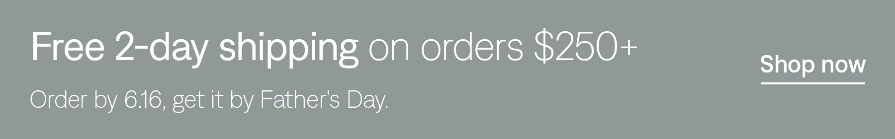 Free 2-day shipping on orders $250+