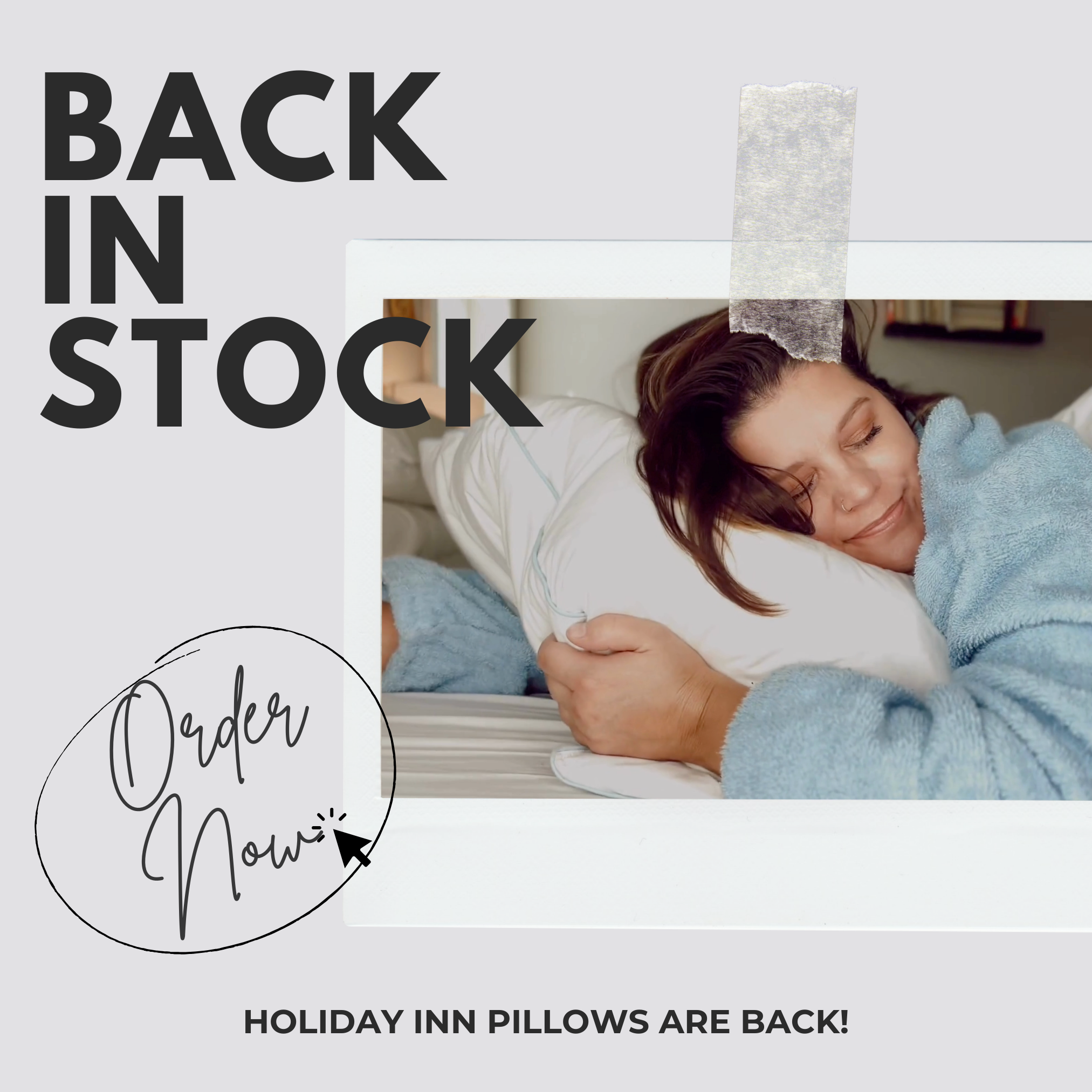 SHOP HOLIDAY INN PILLOWS