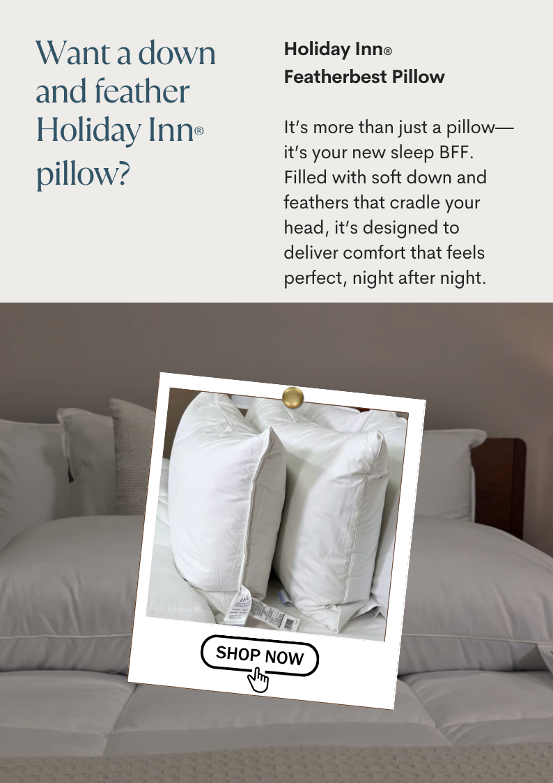 SHOP HOLIDAY INN DOWN AND FEATHER 