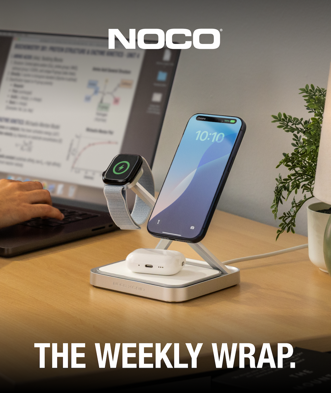 The Weekly Wrap