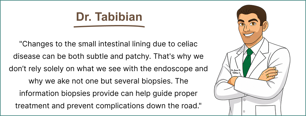 Dr. Tabibian explains why several biopsies help assess patchy small-intestinal changes in celiac disease.