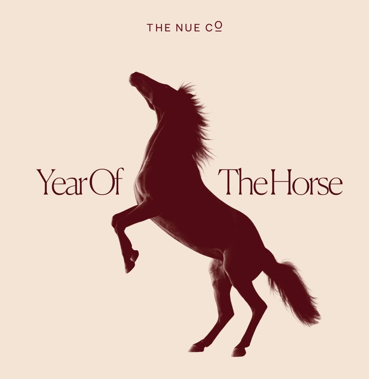 A Scent That Feels Like Home