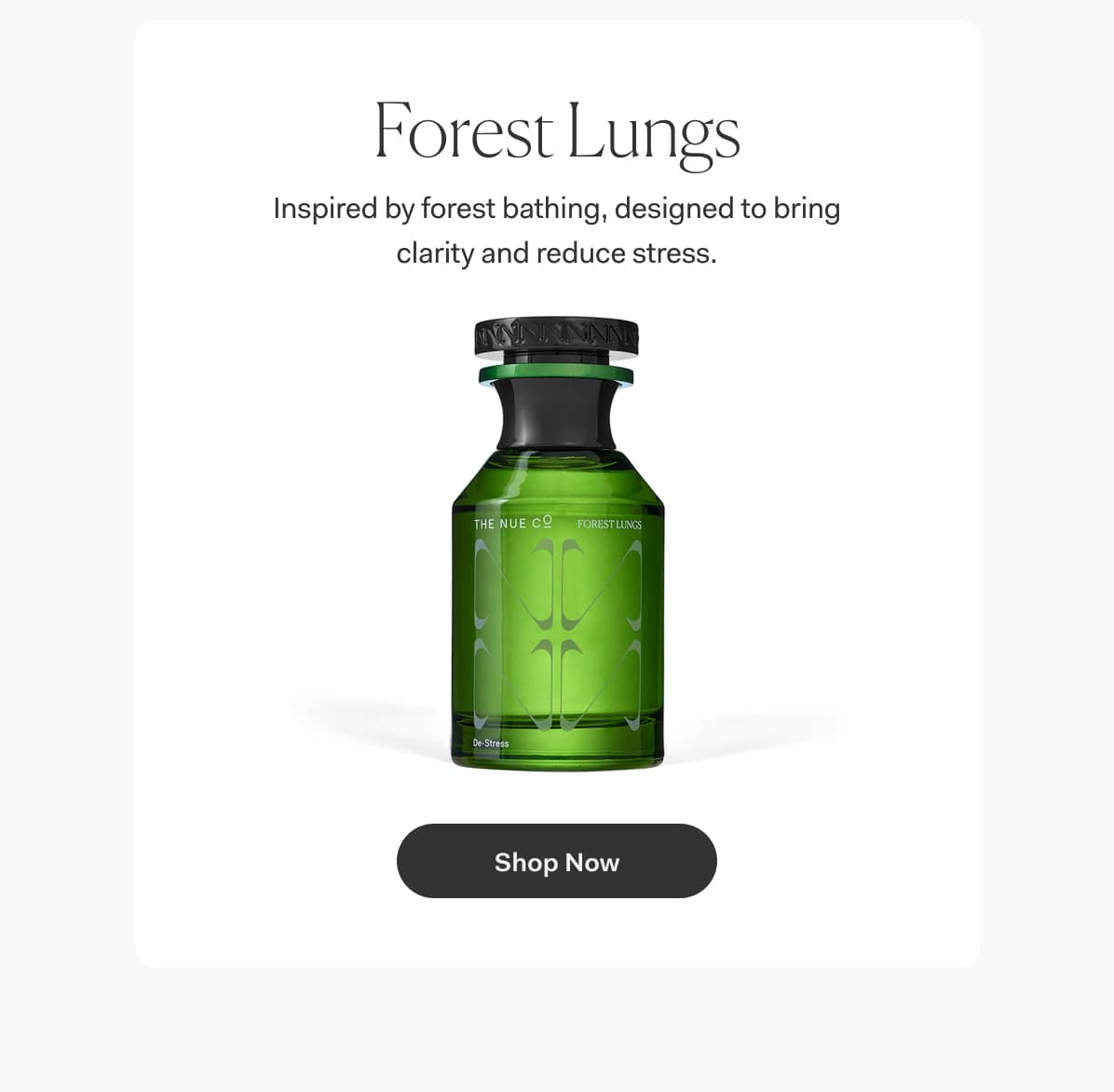 Forest Lungs | Inspired by forest bathing, designed to bring clarity and reduce stress. >> Shop Now