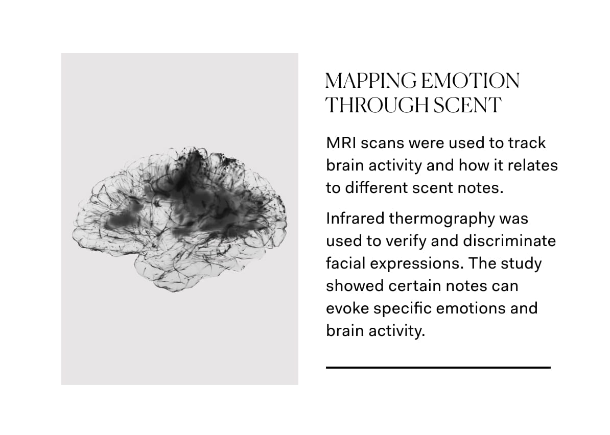 MAPPING EMOTION THROUGH SCENT | MRI scans were used to track brain activity and how it relates to different scent notes. Infrared thermography was used to verify and discriminate facial expressions. The study showed certain notes can evoke specific emotions and brain activity.&nbsp;