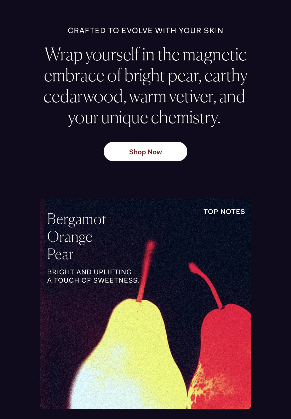 Crafted to evolve with your skin | Wrap yourself in the magnetic embrace of bright pear, earthy cedarwood, warm vetiver, and  your unique chemistry.  | Shop Now