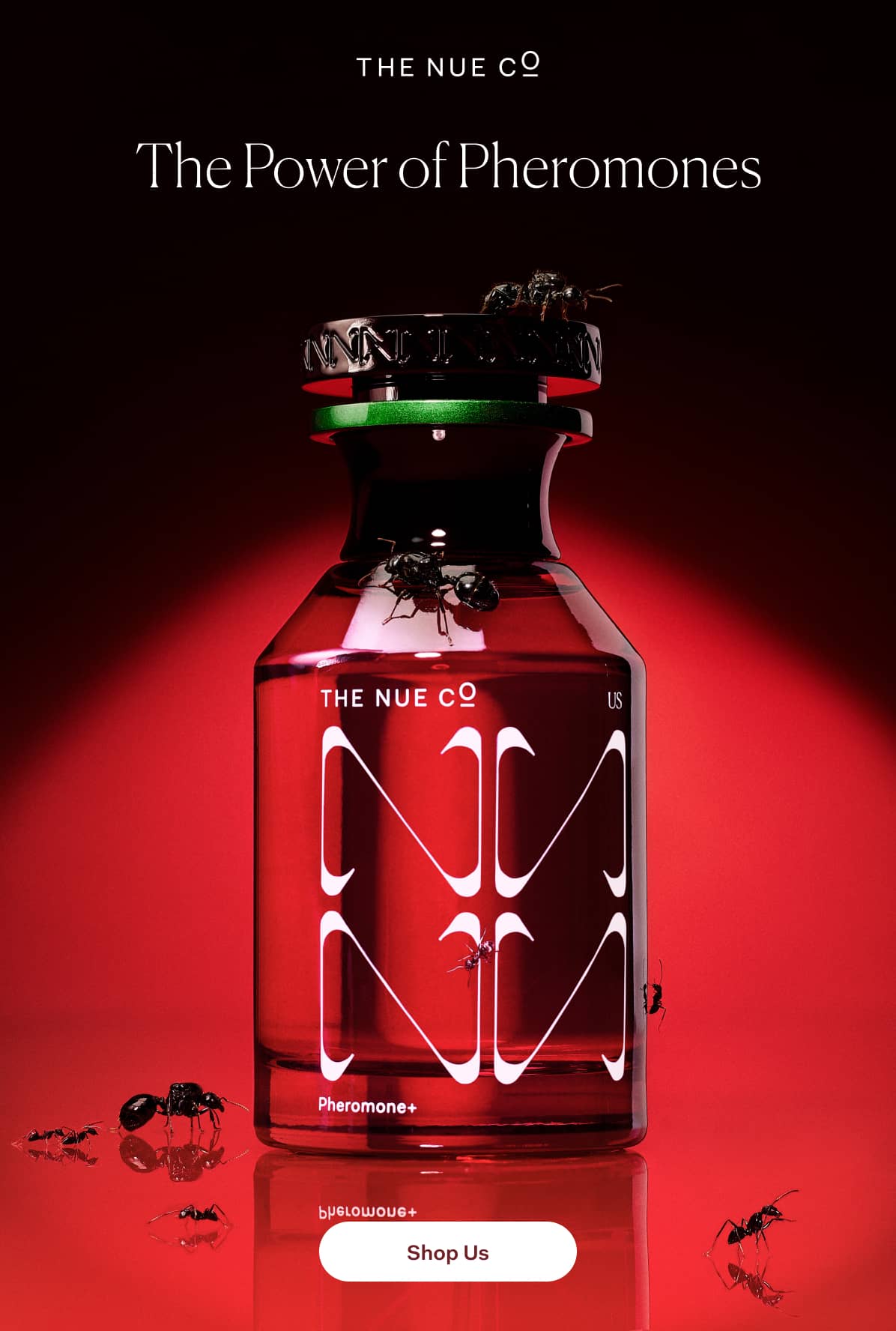 The Power of Pheromones