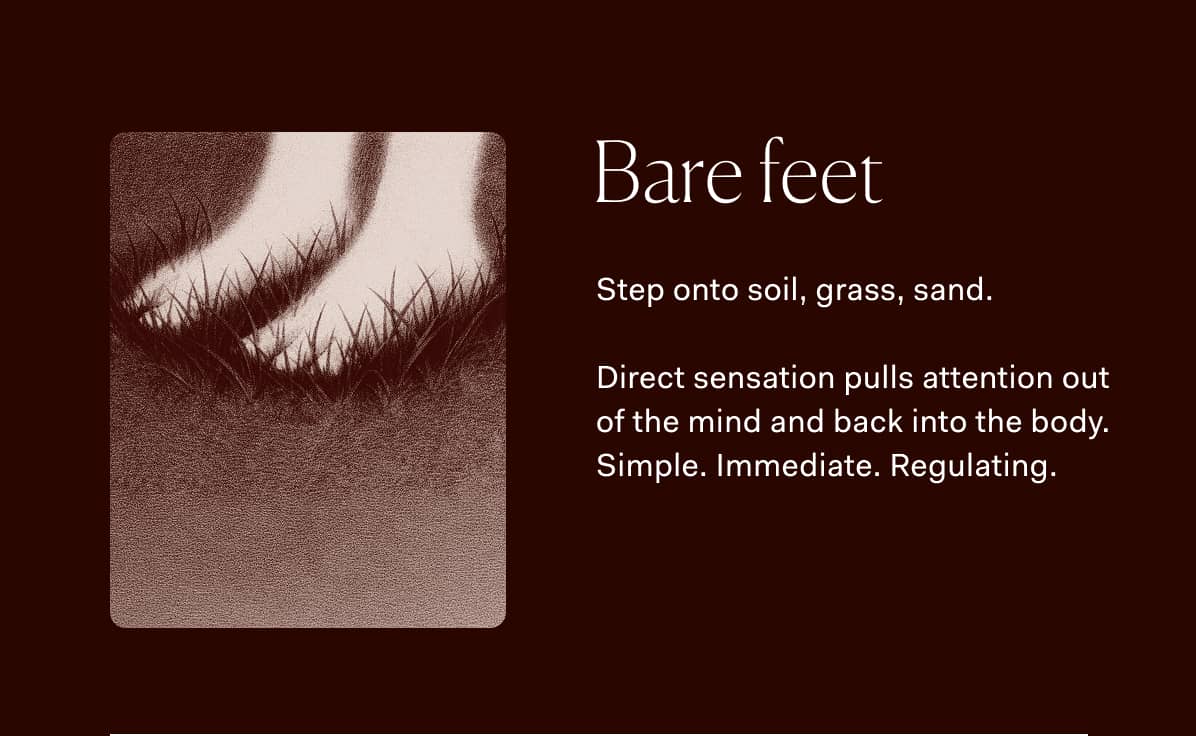 Bare feet Step onto soil, grass, sand.  Direct sensation pulls attention out of the mind and back into the body. Simple. Immediate. Regulating.