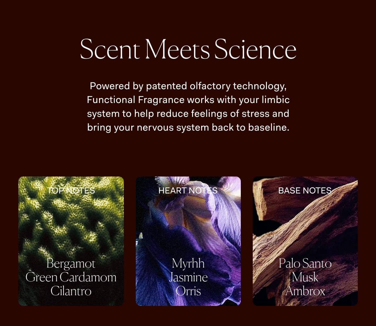 Scent Meets Science | Powered by patented olfactory technology, Functional Fragrance works with your limbic system to help reduce feelings of stress and bring your nervous system back to baseline. |  Bergamot Green Cardamom Cilantro | Myrhh Jasmine Orris | Palo Santo Musk Ambrox 