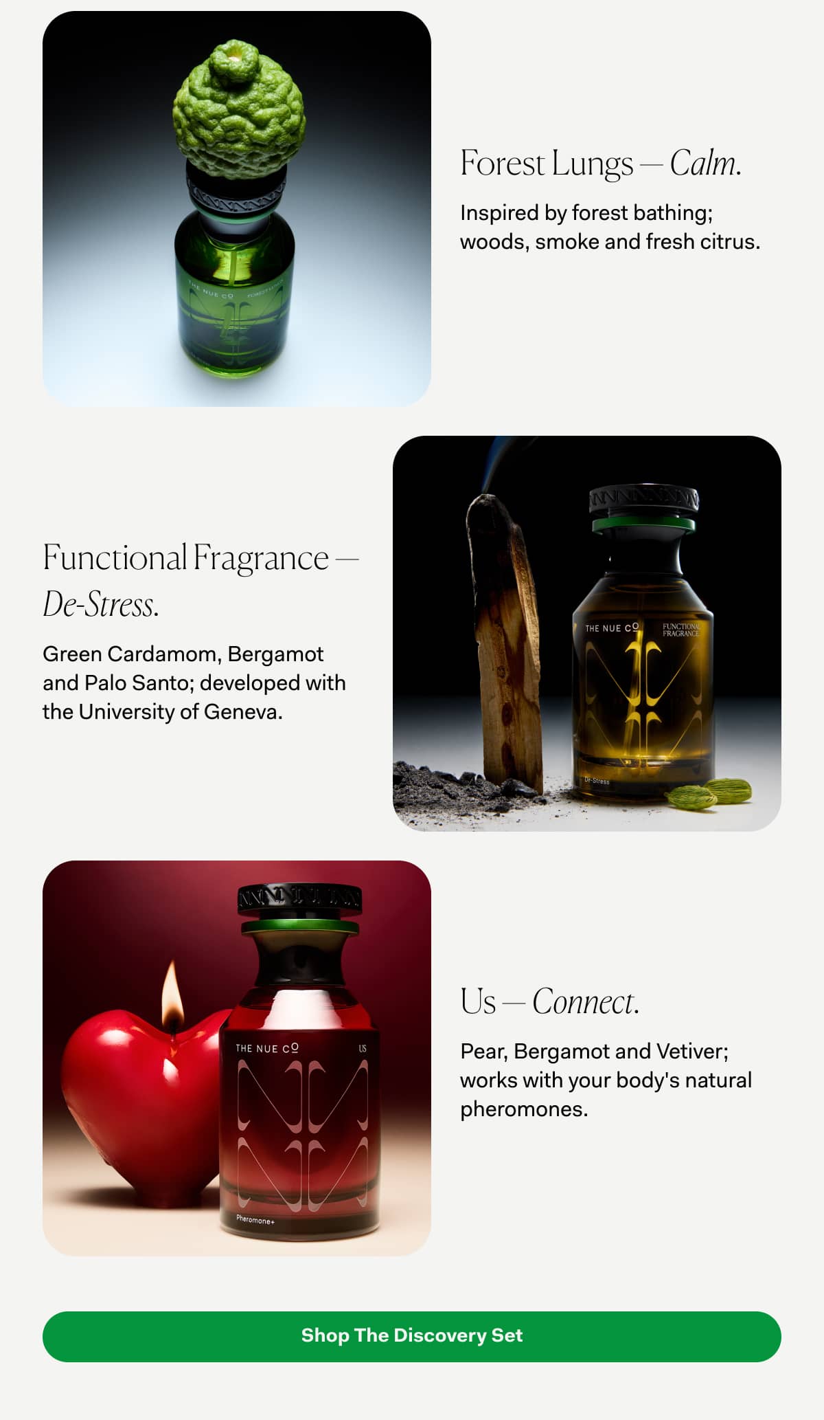 Forest Lungs - Calm | Functional Fragrance