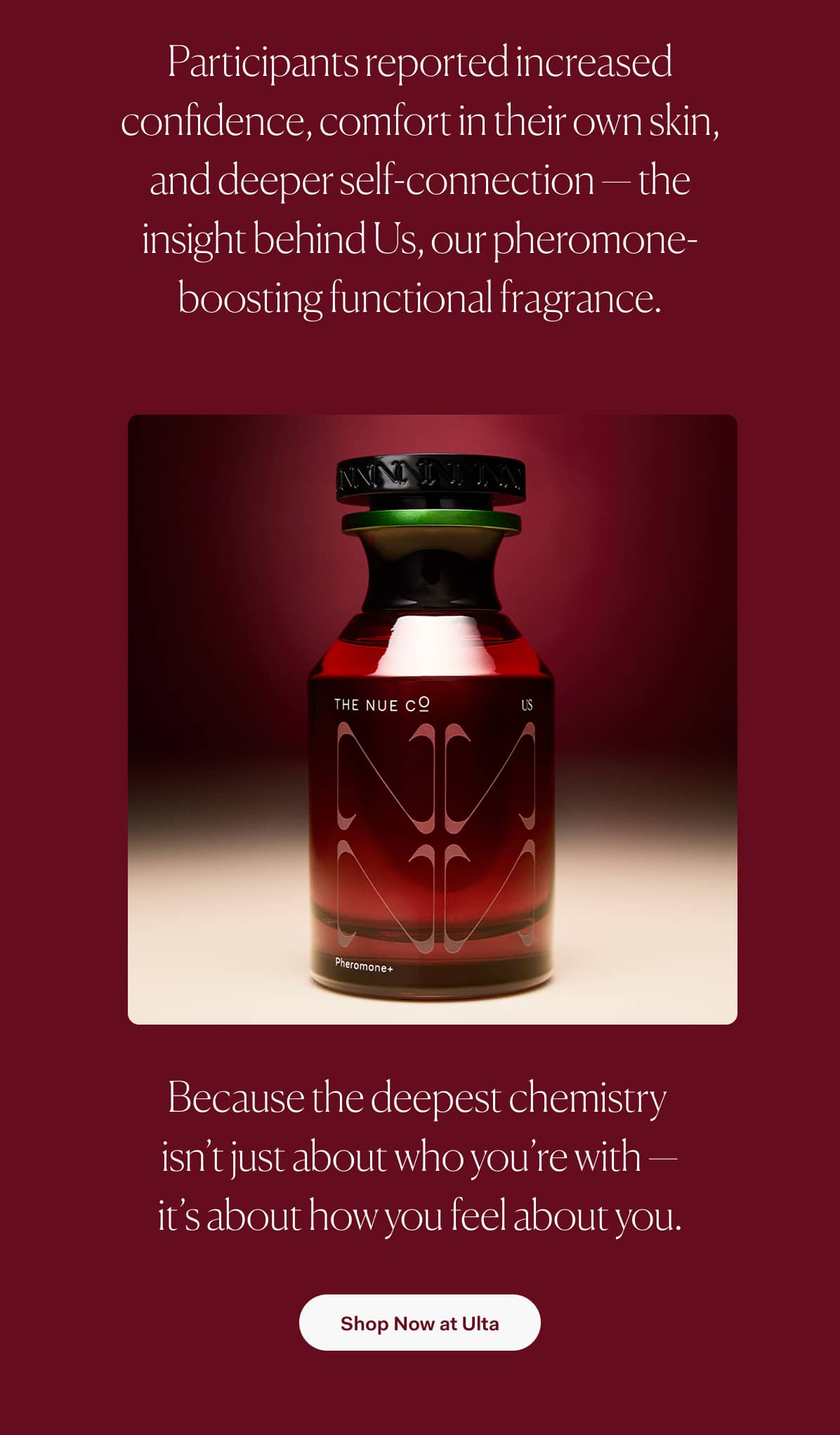 Explore the Collection 