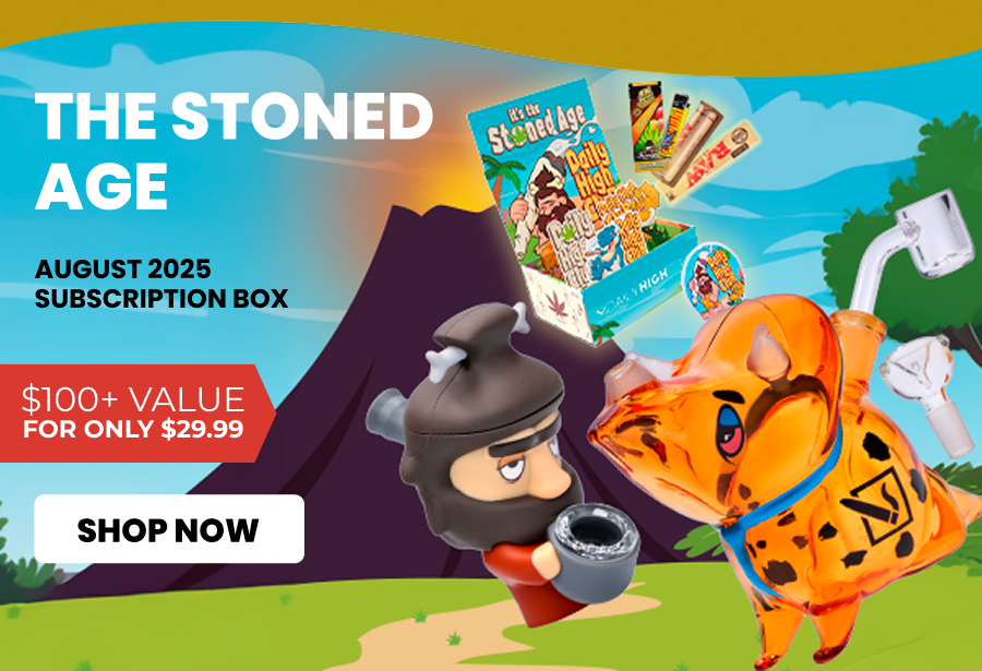 AUGUST 2025 subscription box