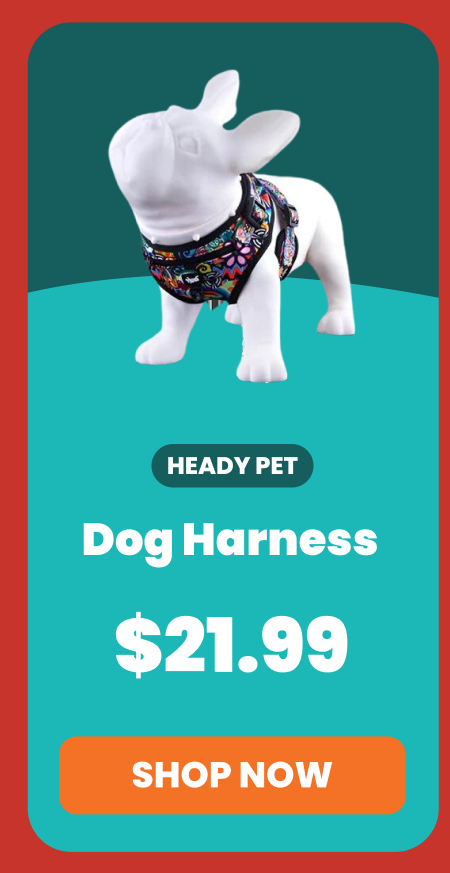 Dog Harness