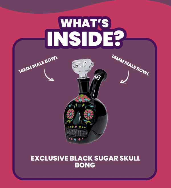 WHAT'S INSIDE?