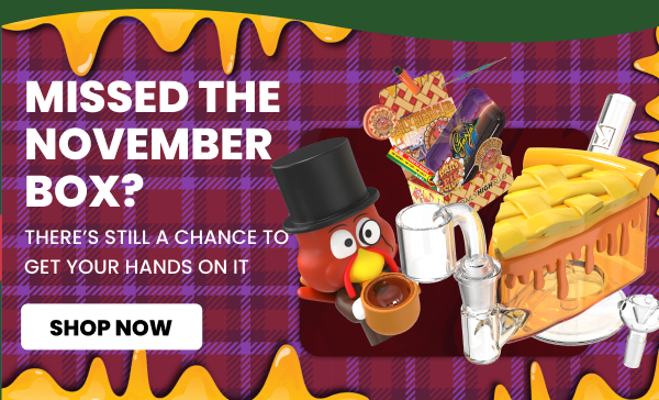 MISSED THE NOVEMBER BOX?