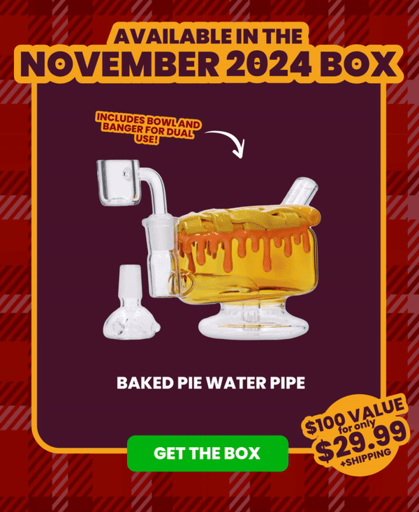 Available in the NOVEMBER 2024 Box