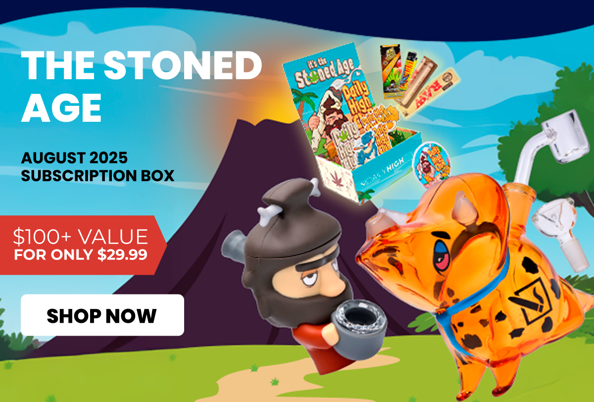 AUGUST 2025 subscription box