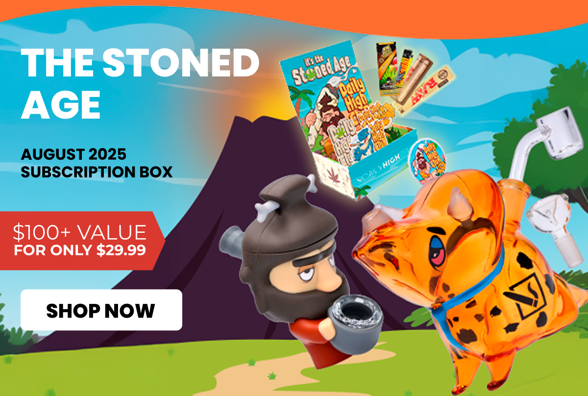 AUGUST 2025 subscription box