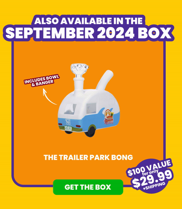 Also Available in the September 2024 Box