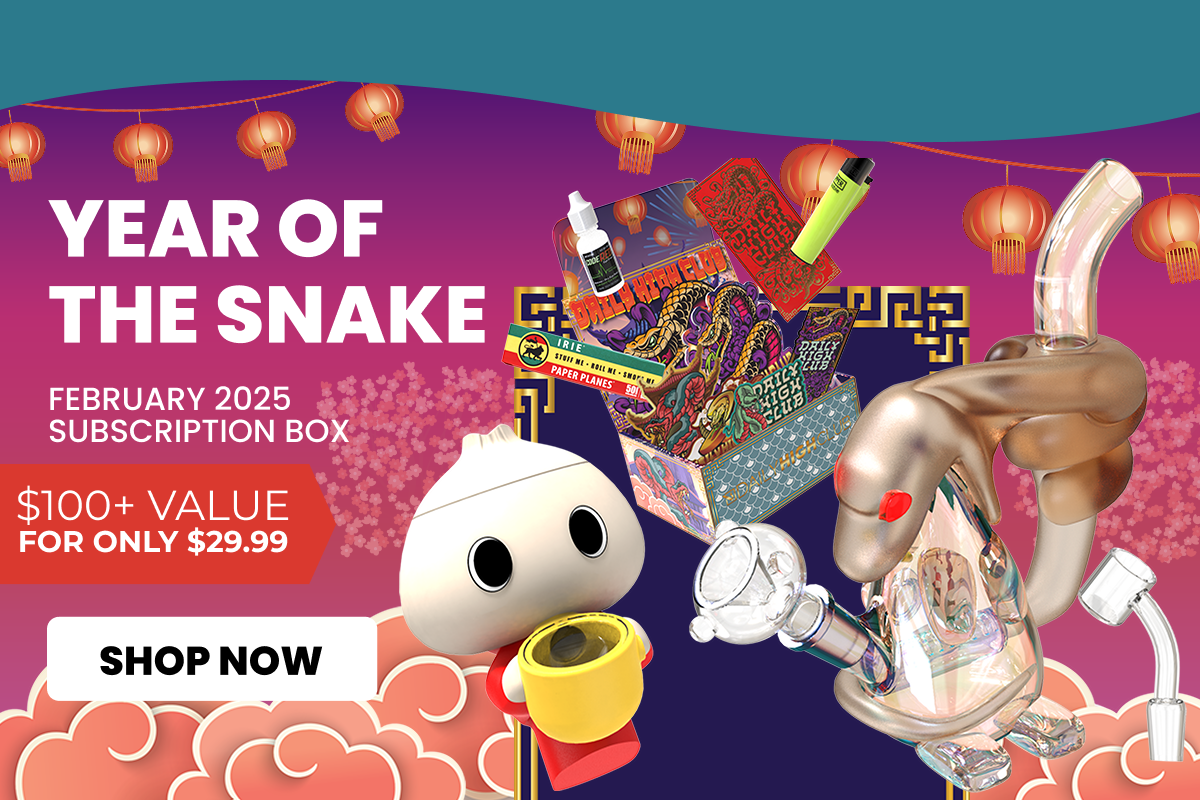 Year of the Snake