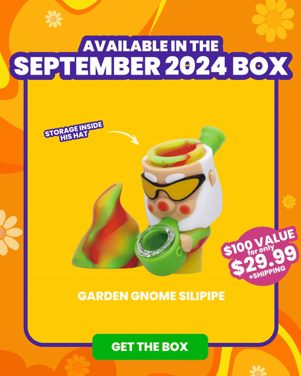 Available in the SEPTEMBER 2024 Box