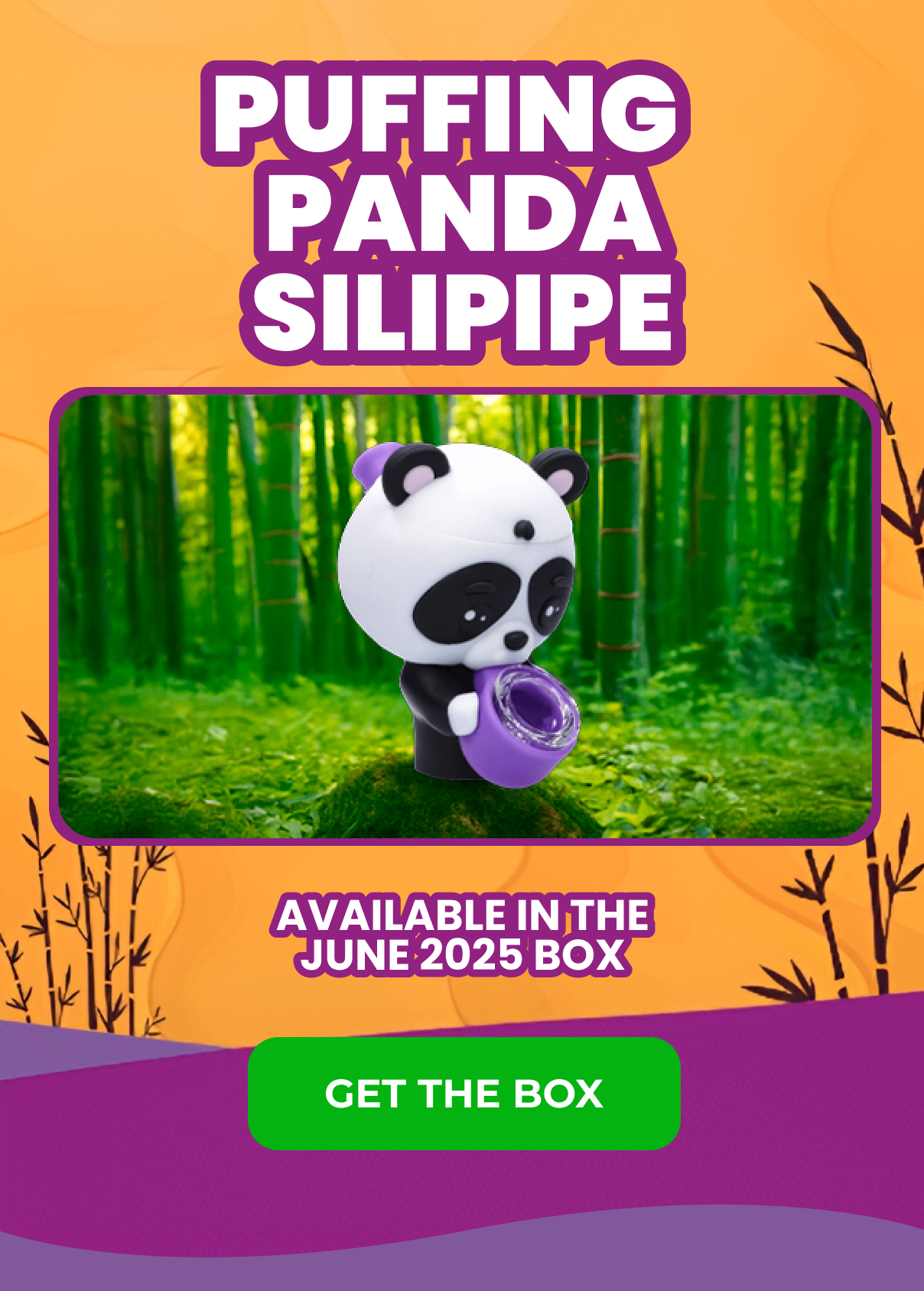GET THE BOX