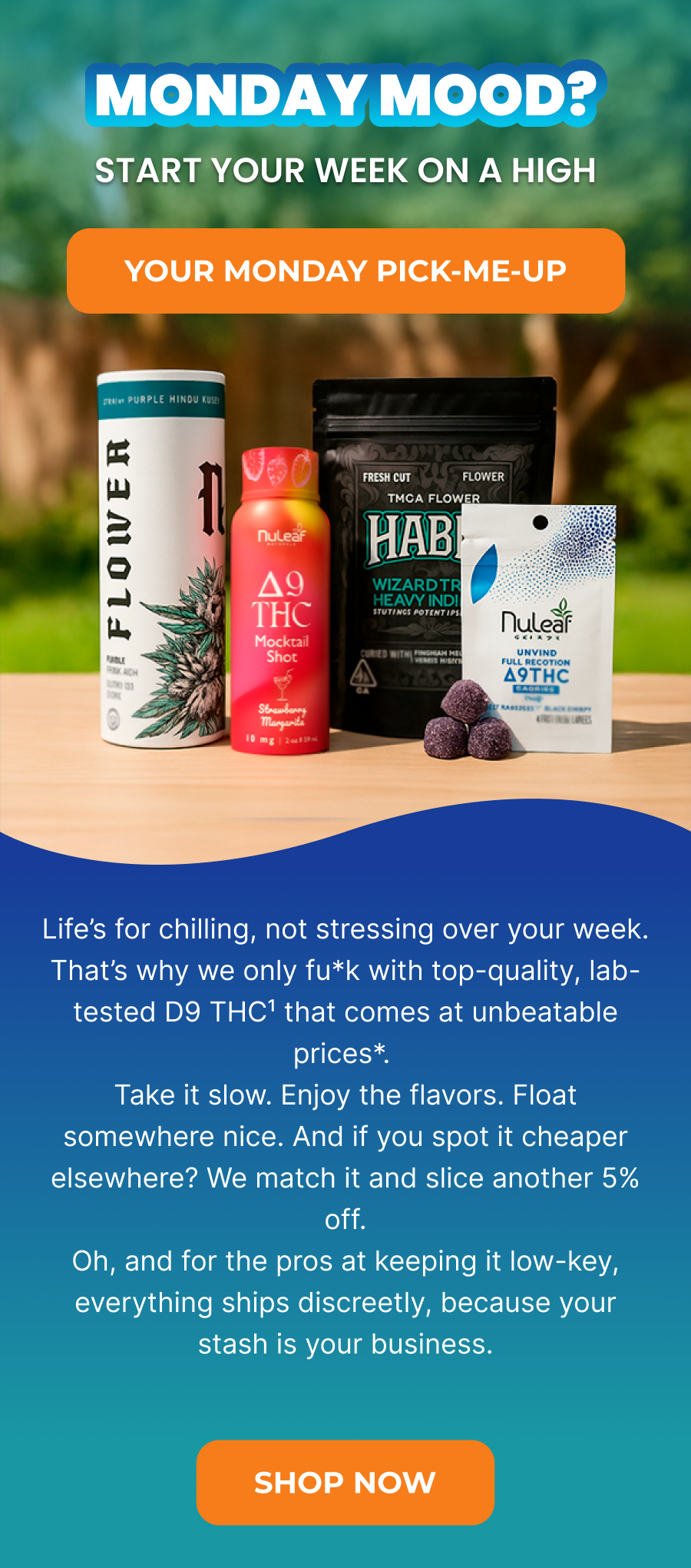YOUR MONDAY PICK-ME-UP