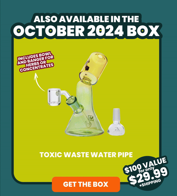 Also Available in the OCTOBER 2024 Box