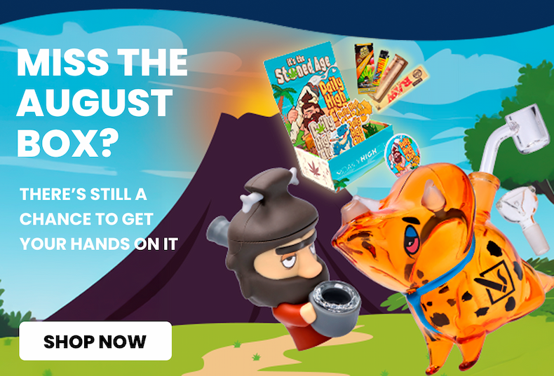 miss the august box?