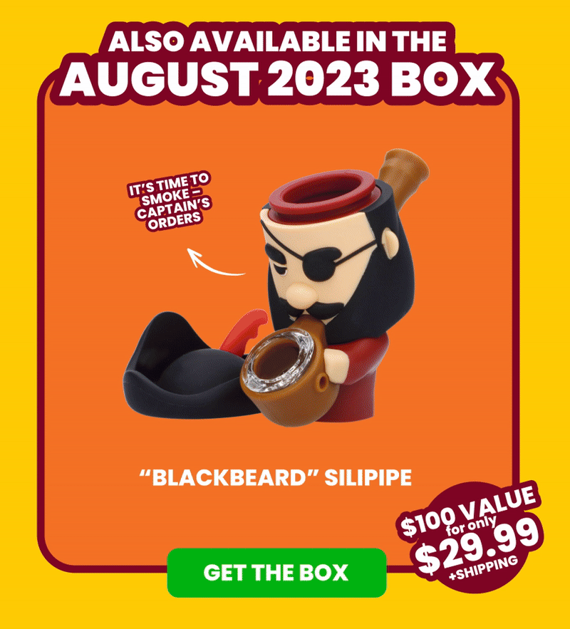 Also Available in the AUGUST 2023 Box