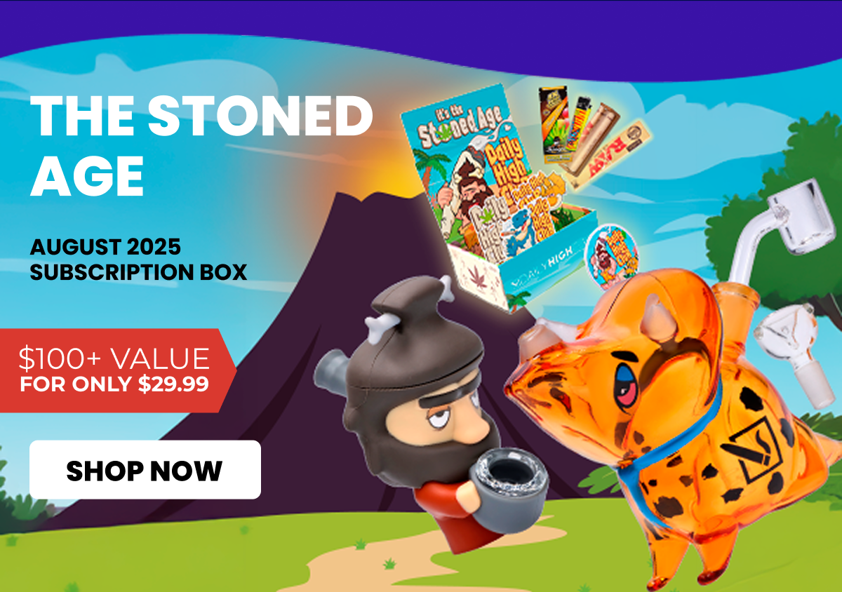 AUGUST 2025 subscription box