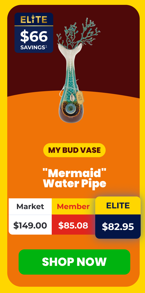 "Mermaid" Water Pipe