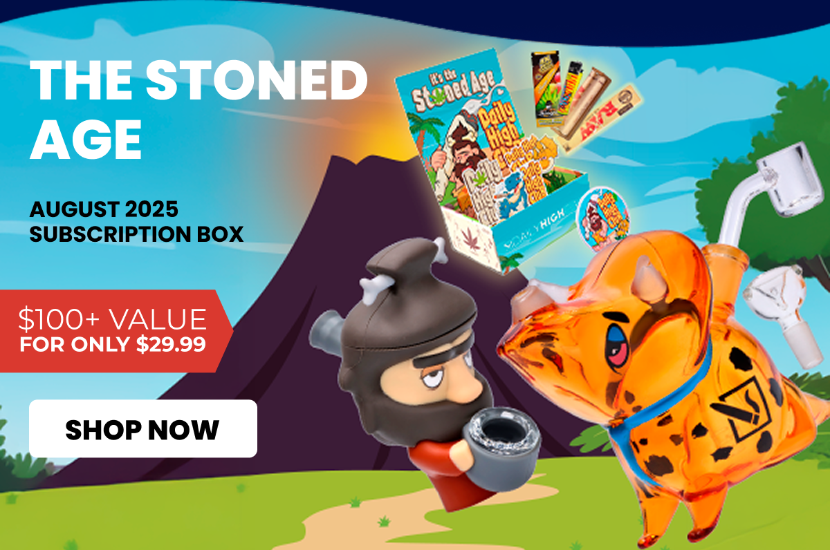 AUGUST 2025 subscription box