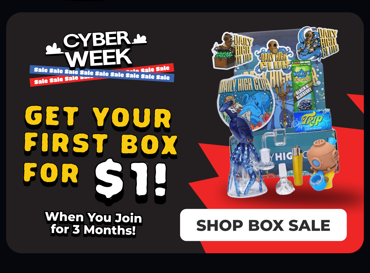 Shop box sale 
