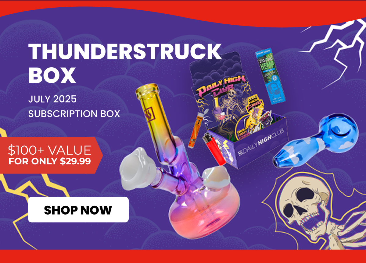 JUNE 2025 subscription box