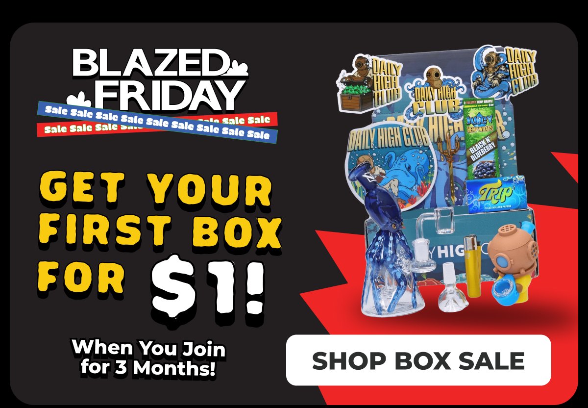 Shop box sale 