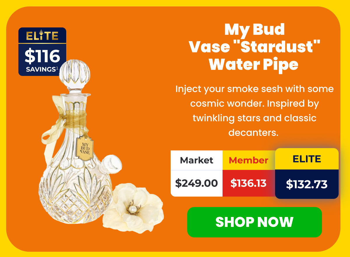 My Bud Vase "Stardust" Water Pipe 
