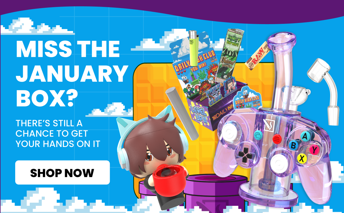 level up: JANUARY 2025 subscription box