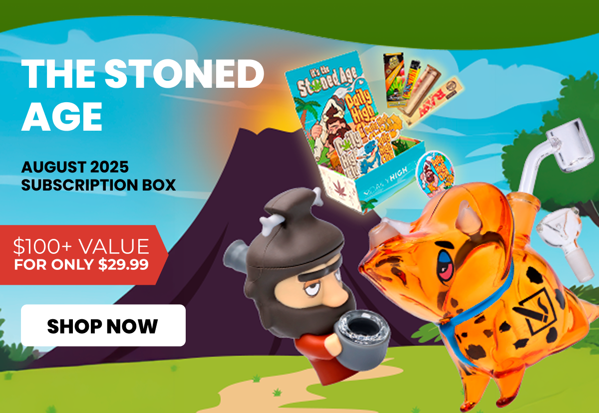 AUGUST 2025 subscription box