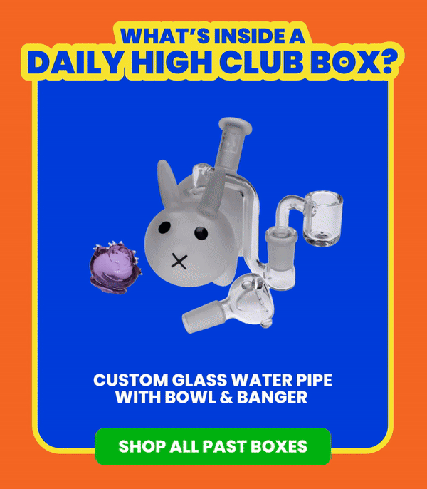 WHAT'S INSIDE A DAILY HIGH CLUB BOX?