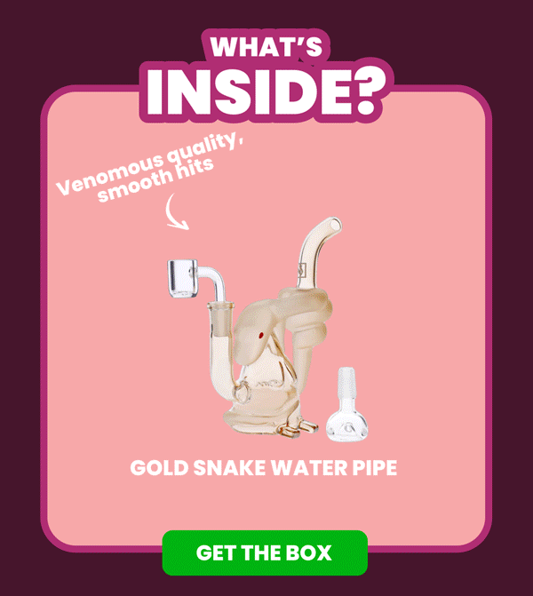 GET THE BOX