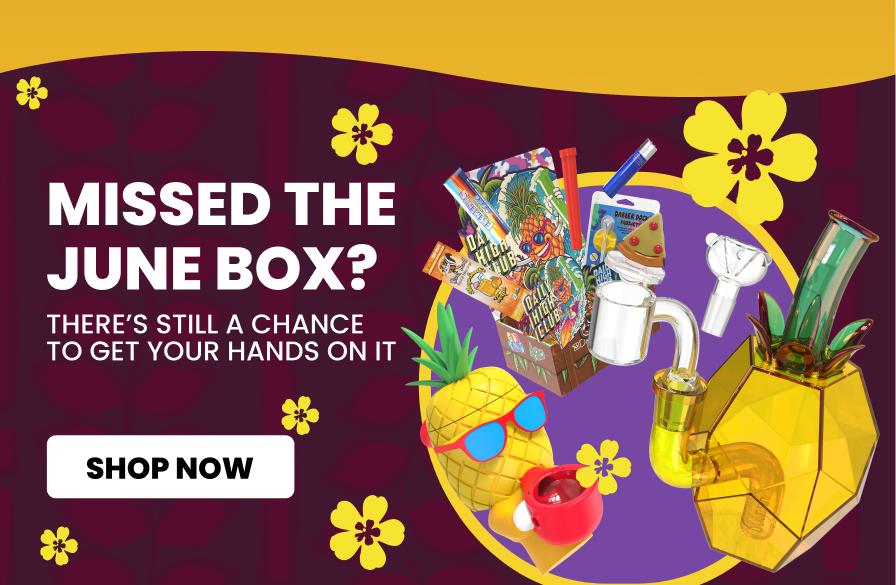 MISSED THE JUNE BOX?