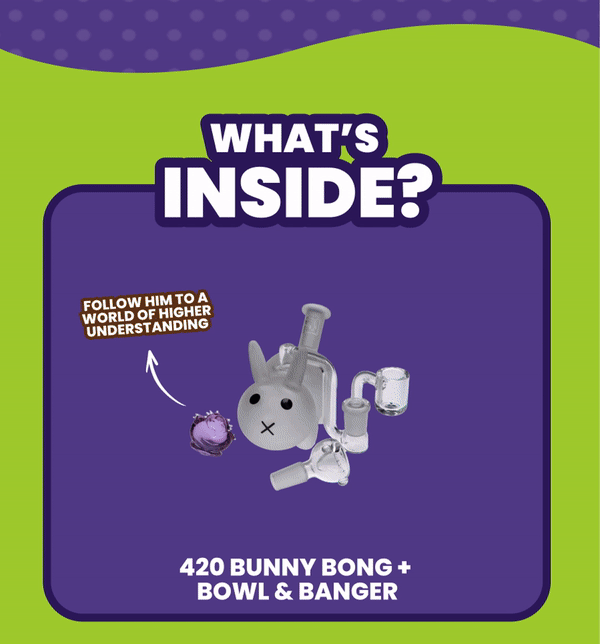 What's  INSIDE?