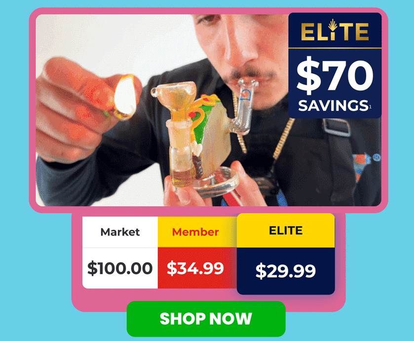 Fuel your munchies with our April 2024 taco-themed box!