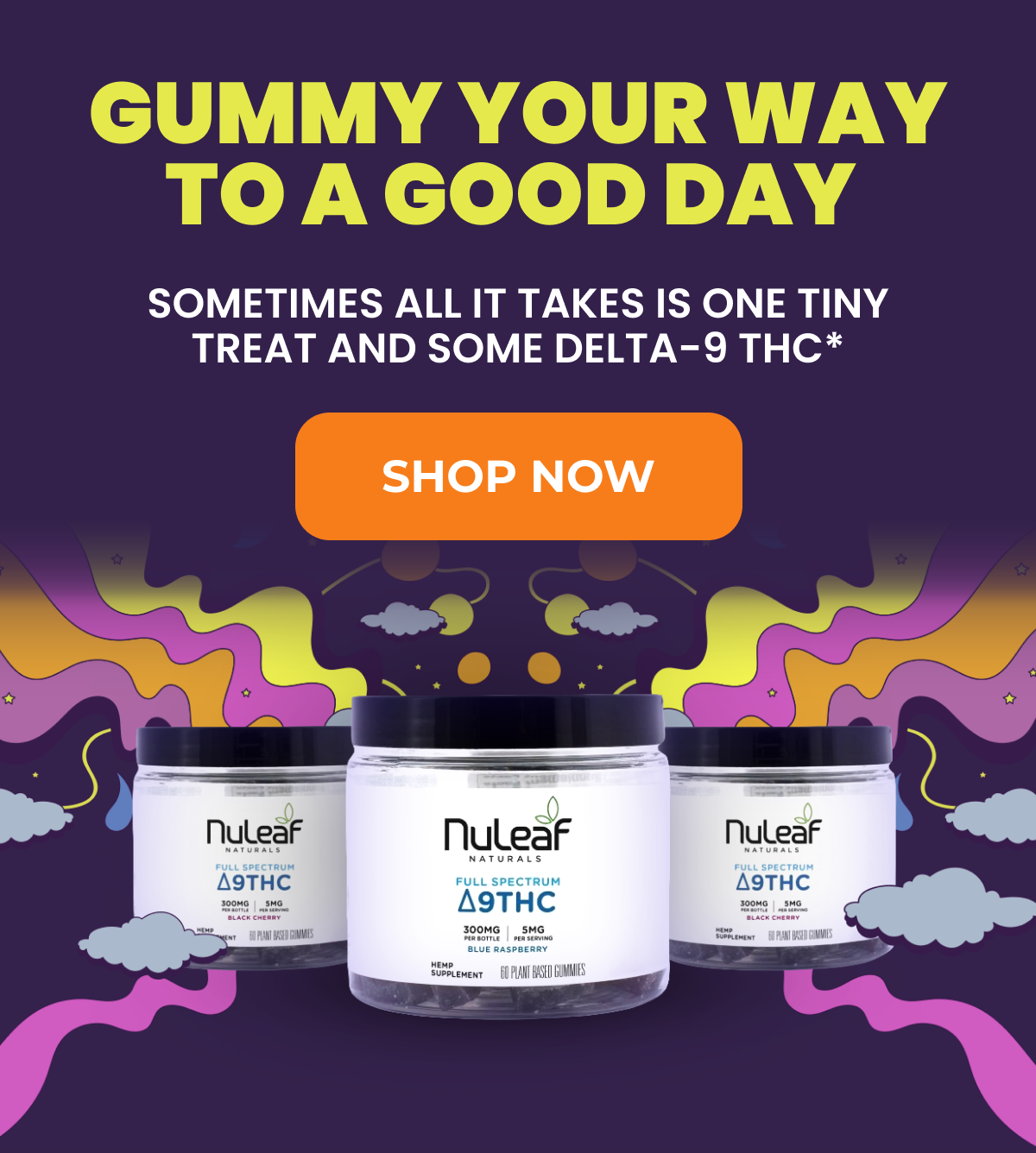 Shop Now