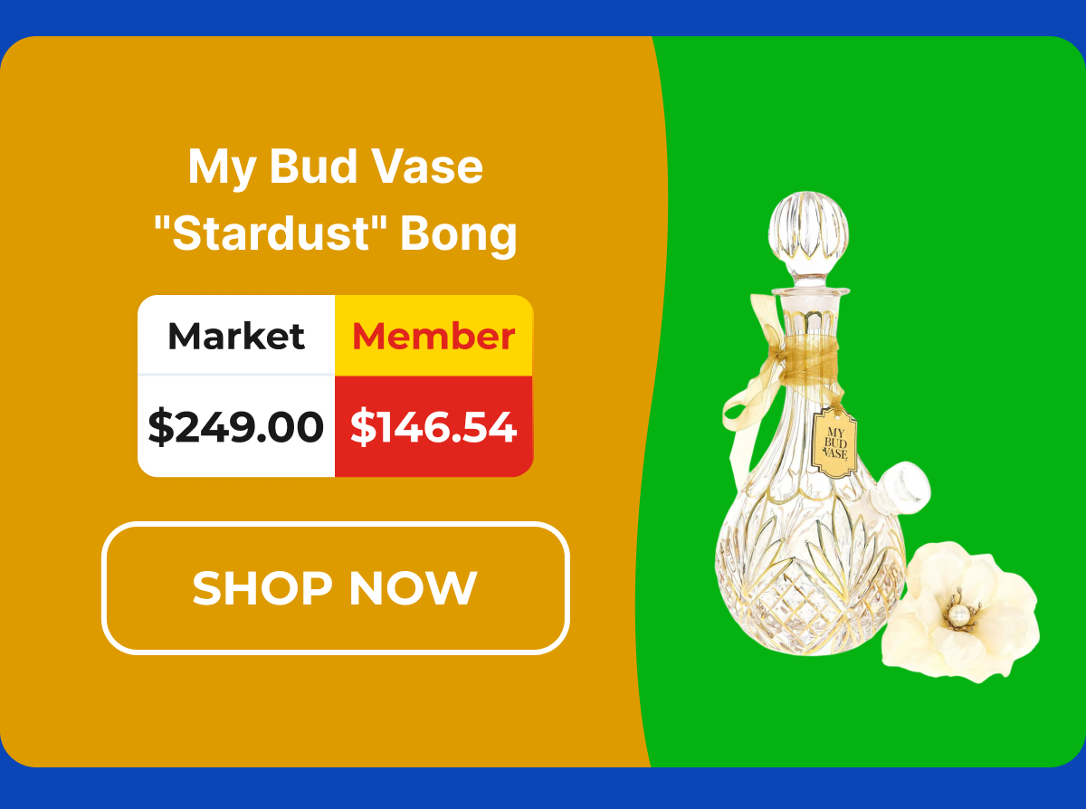 My Bud Vase "Stardust" Bong