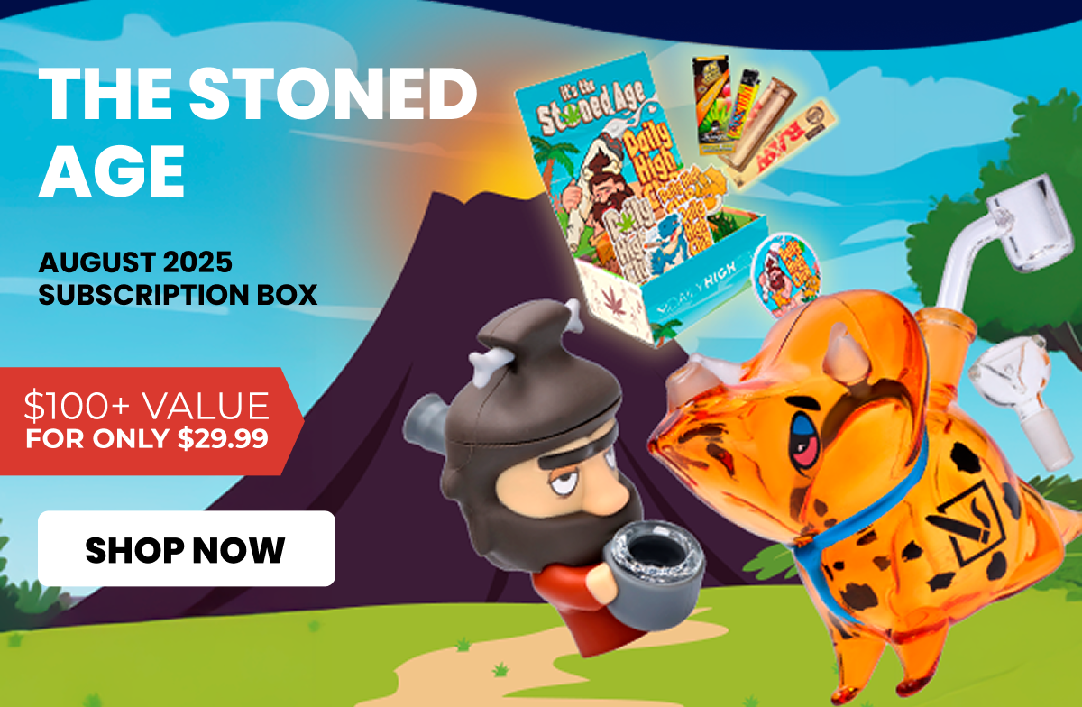AUGUST 2025 subscription box