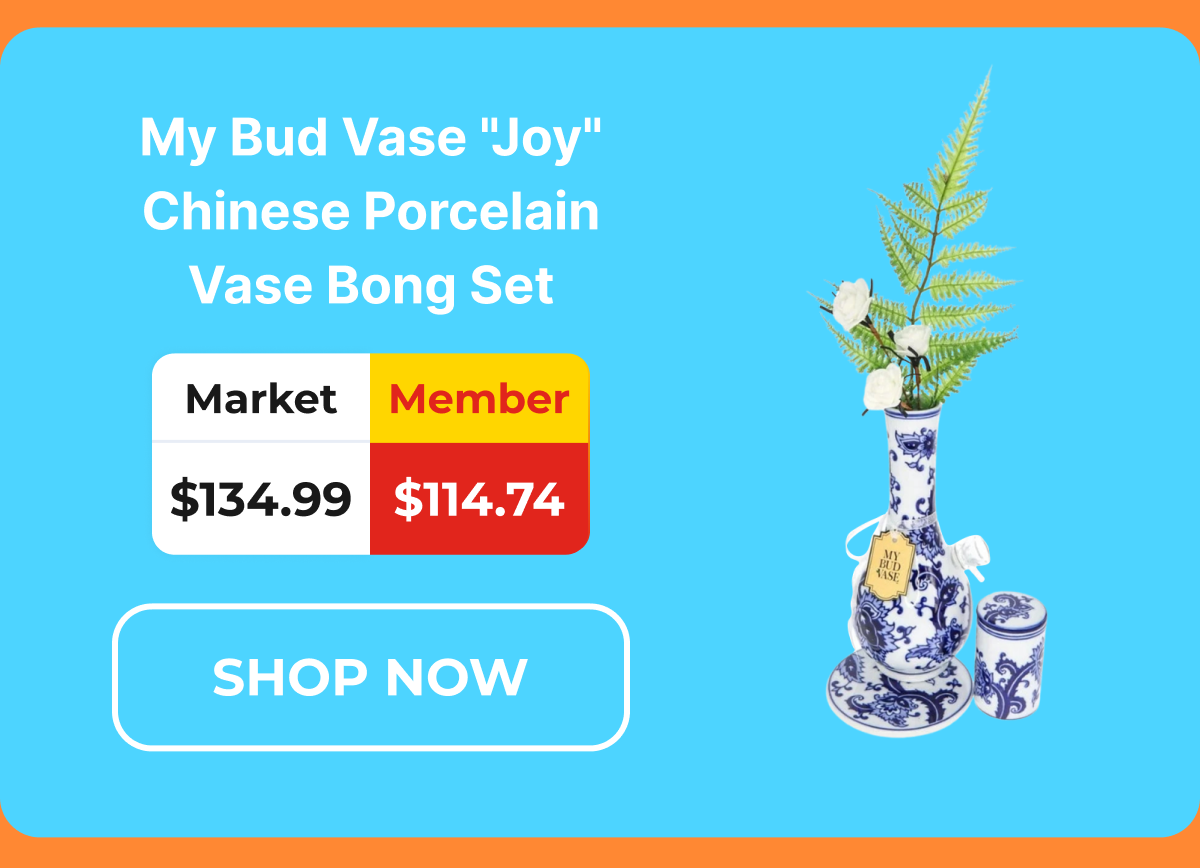 My Bud Vase "Joy" Chinese Porcelain Vase Bong Set