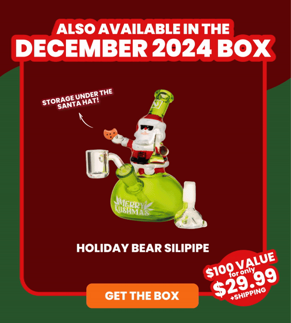 Also Available in the DECEMBER 2024 Box