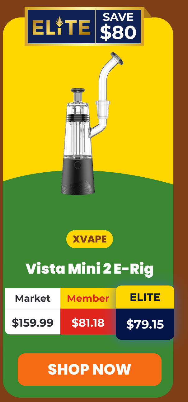 XVAPE Vista Mini 2 E-Rig
