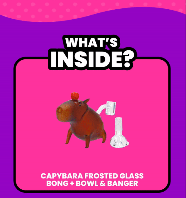 What's  INSIDE?
